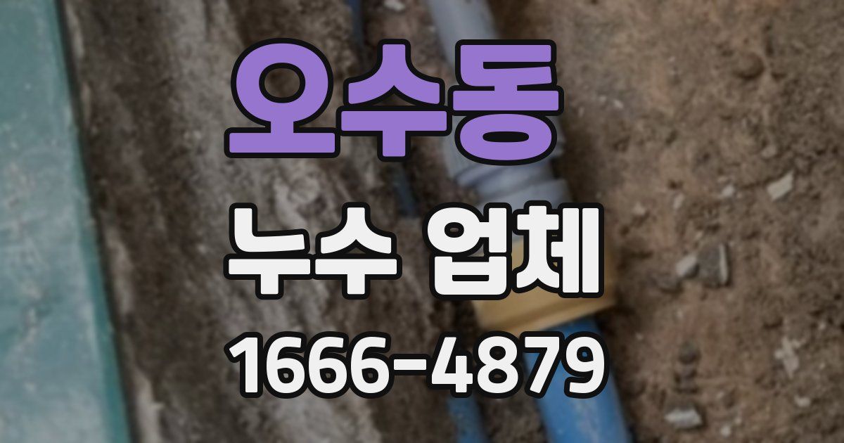 오수동 누수 업체