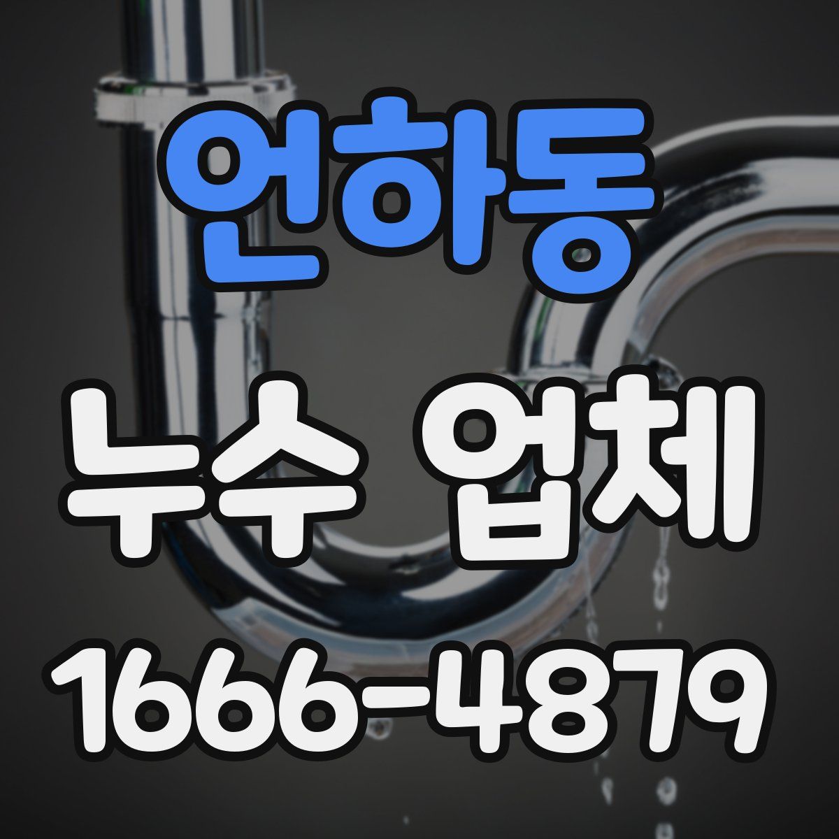 언하동 누수 업체