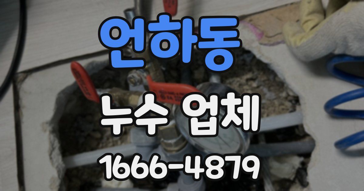 언하동 누수 업체