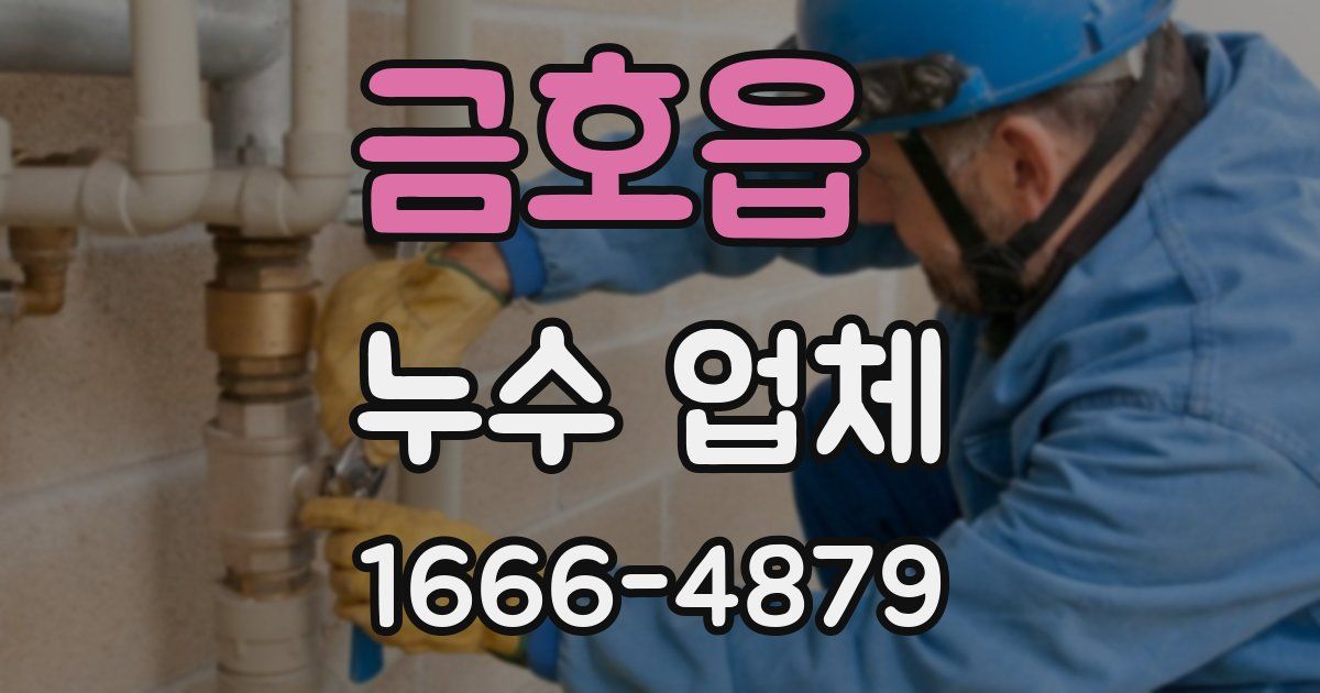 금호읍 누수 업체