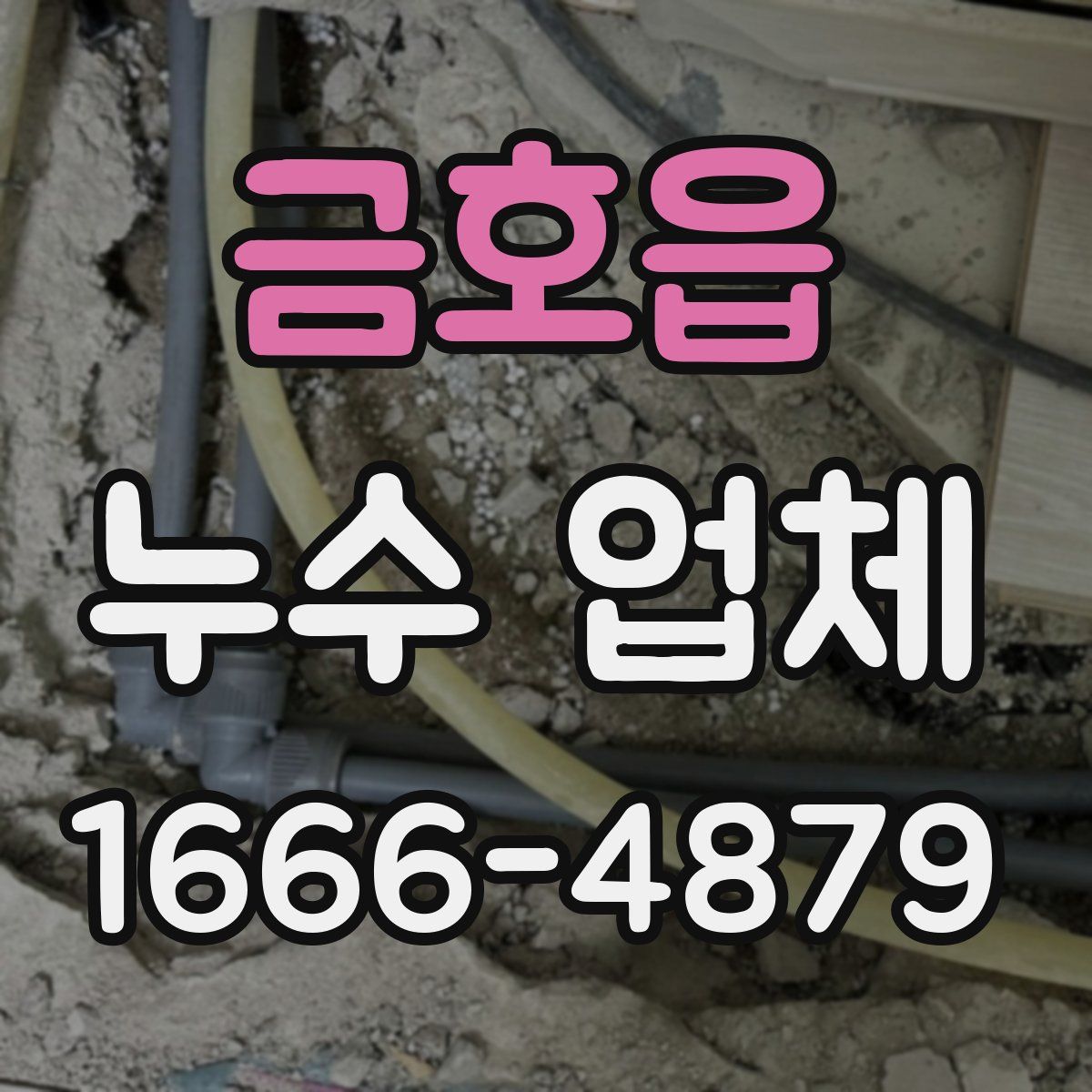 금호읍 누수 업체