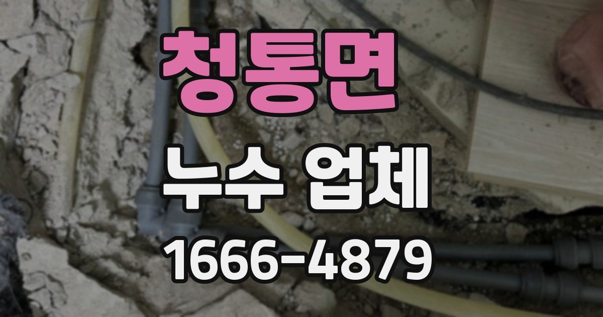 청통면 누수 업체