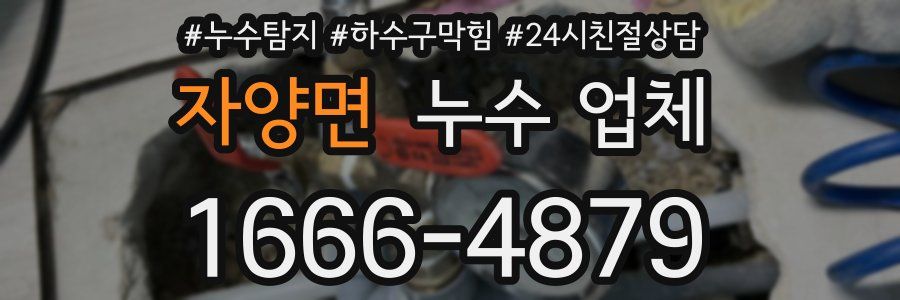 자양면 누수 업체