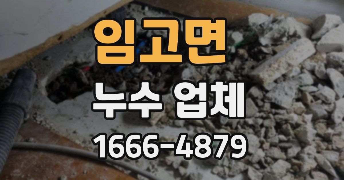 임고면 누수 업체
