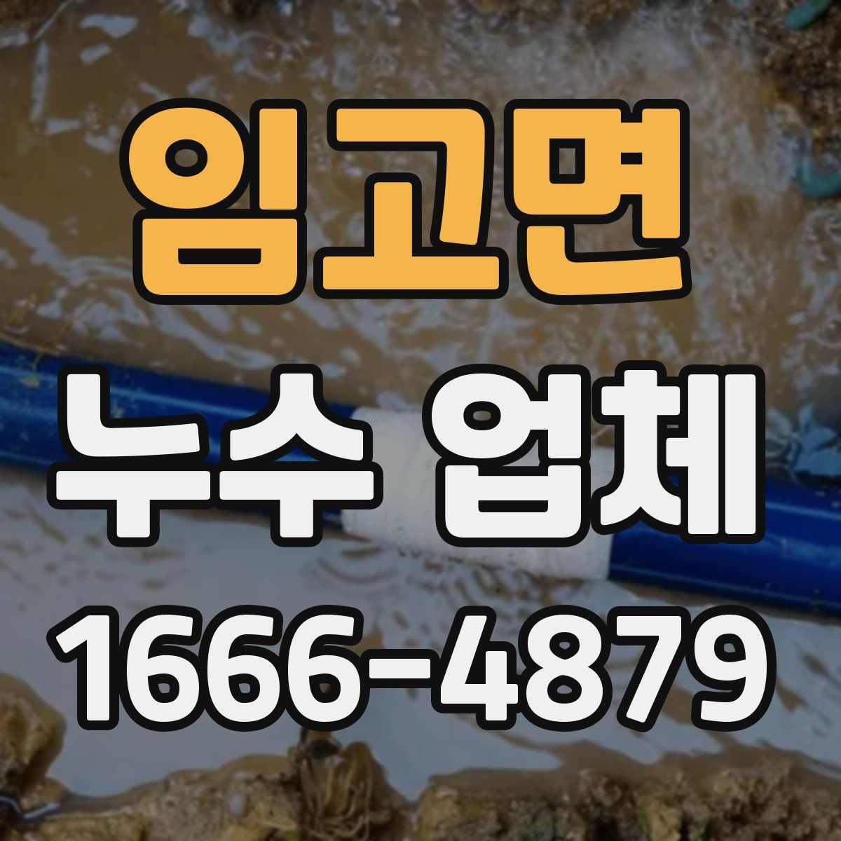임고면 누수 업체