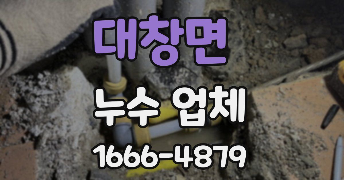 대창면 누수 업체