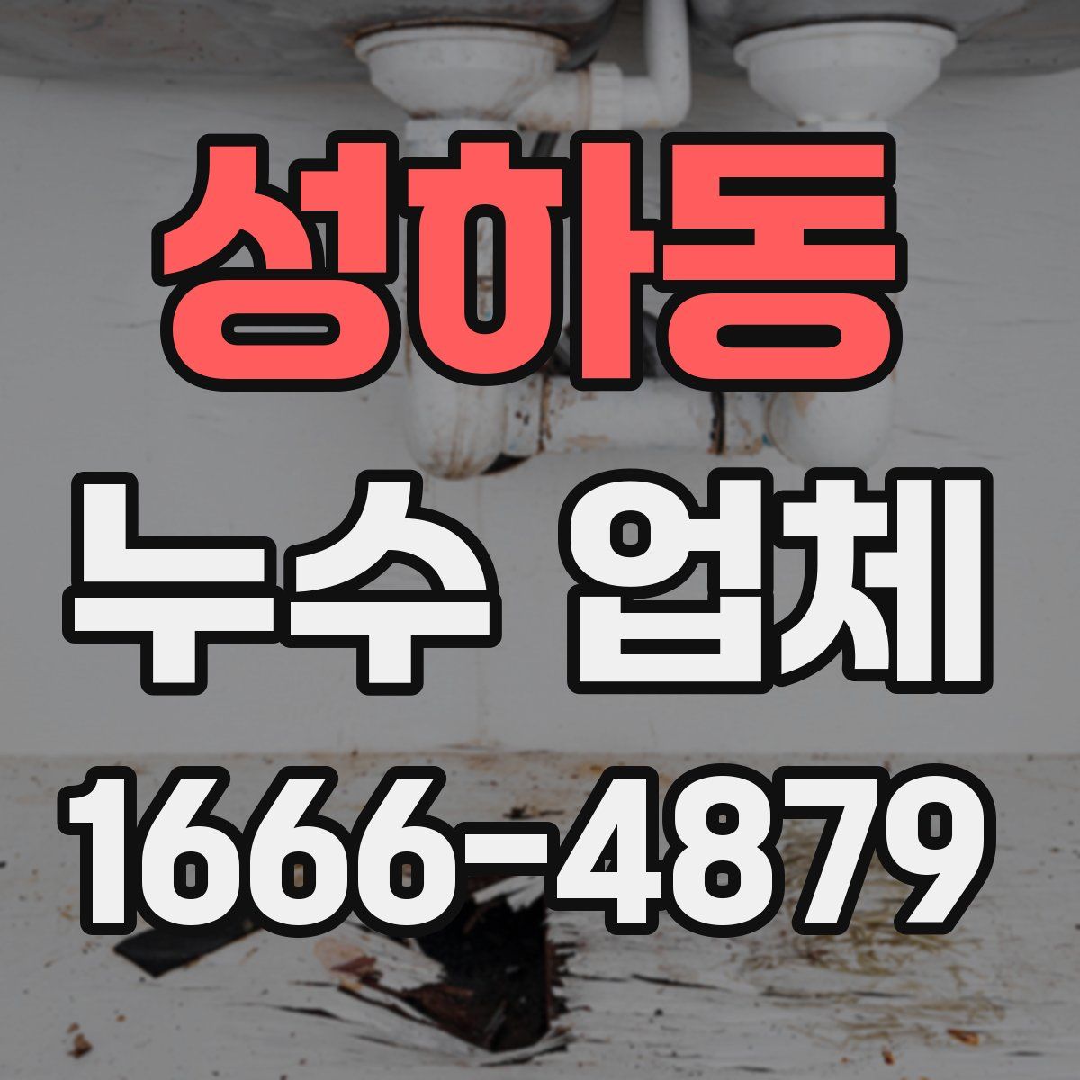 성하동 누수 업체