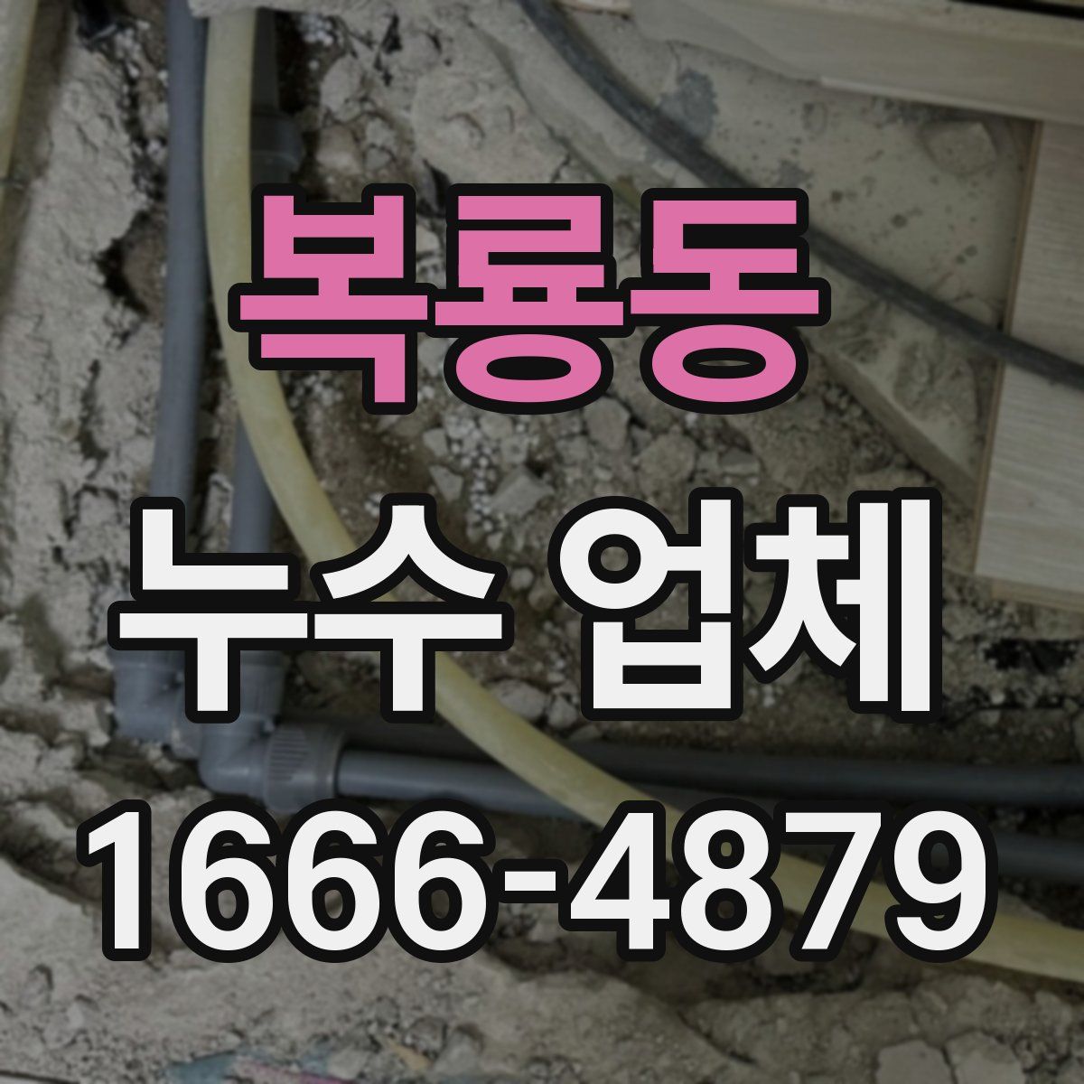 복룡동 누수 업체
