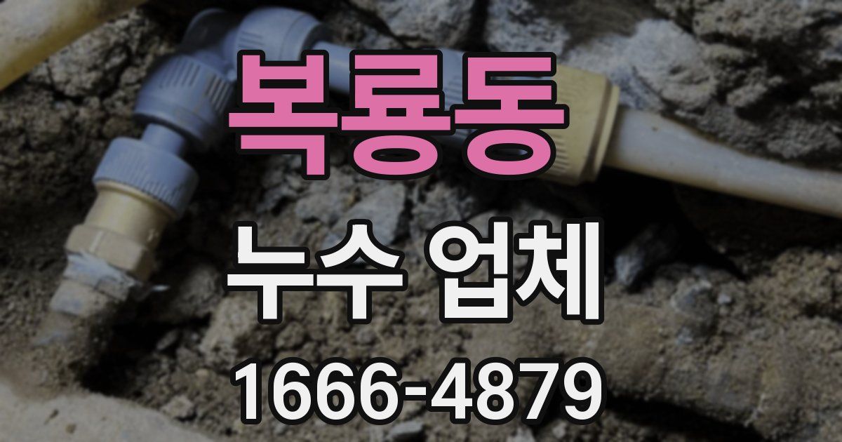 복룡동 누수 업체
