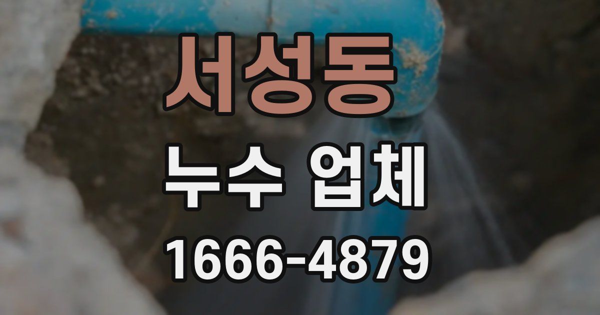 서성동 누수 업체