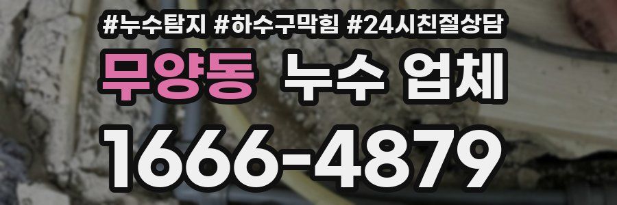 무양동 누수 업체