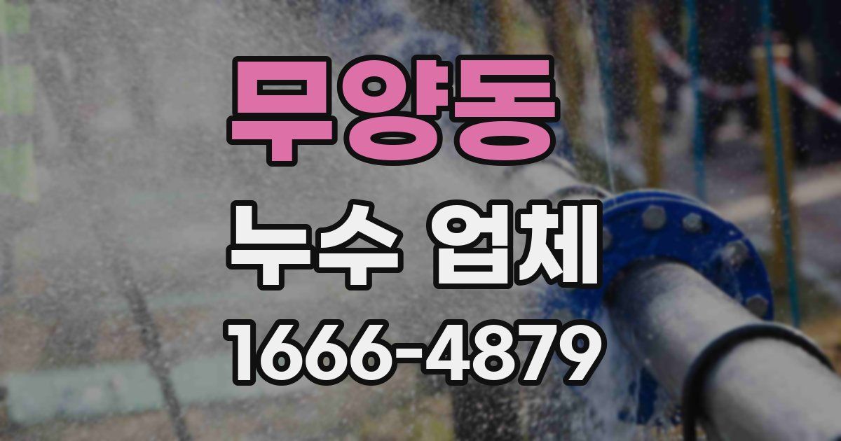 무양동 누수 업체