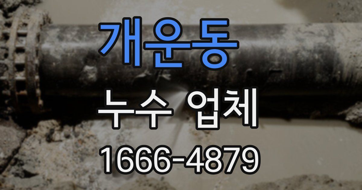 개운동 누수 업체