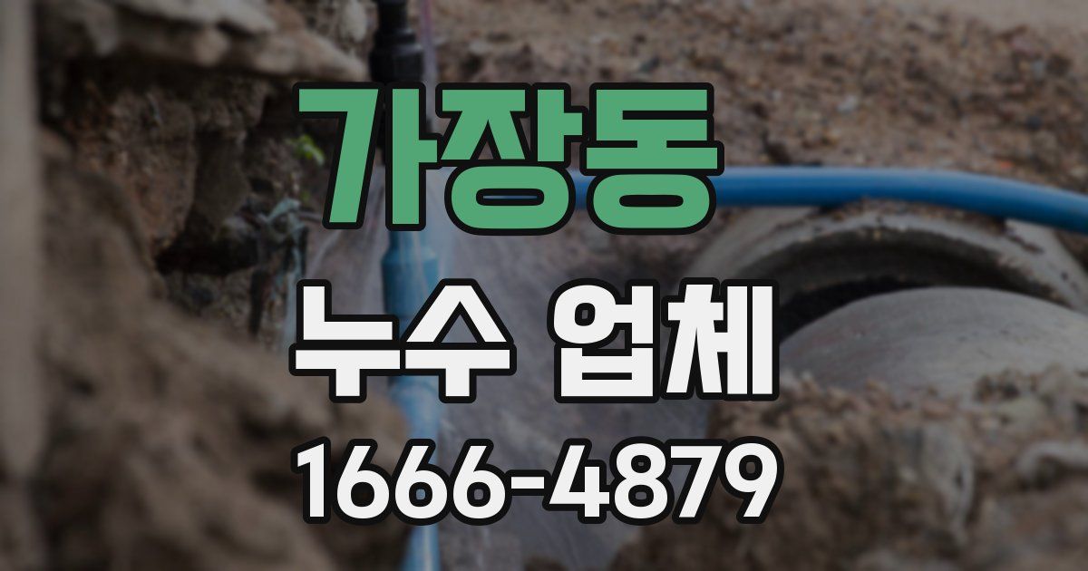 가장동 누수 업체