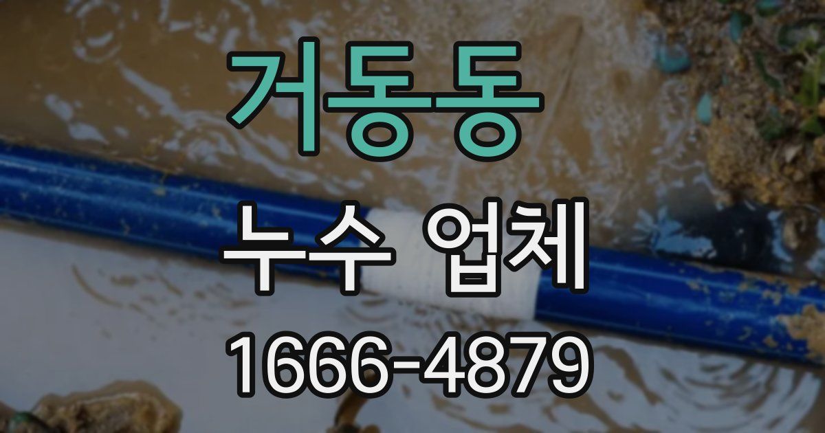 거동동 누수 업체