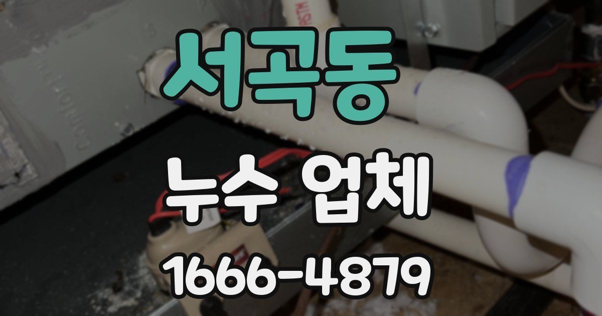 서곡동 누수 업체
