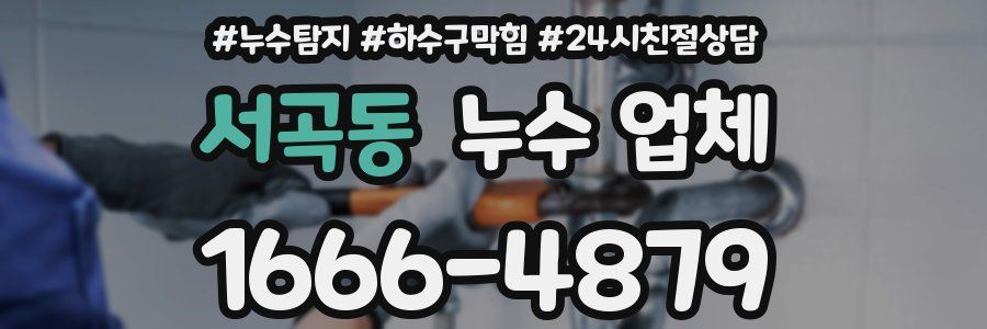 서곡동 누수 업체