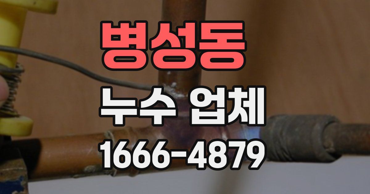 병성동 누수 업체