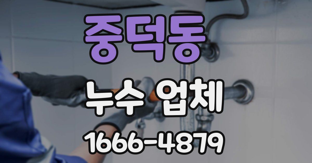 중덕동 누수 업체
