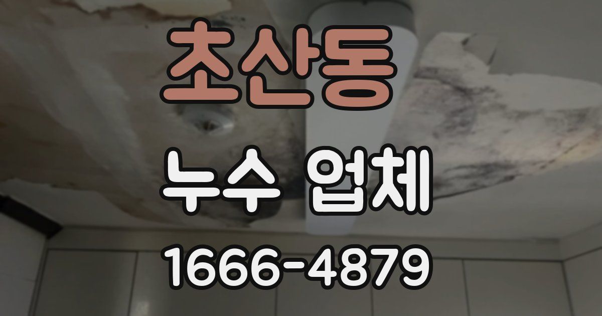 초산동 누수 업체