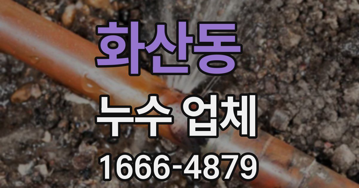 화산동 누수 업체