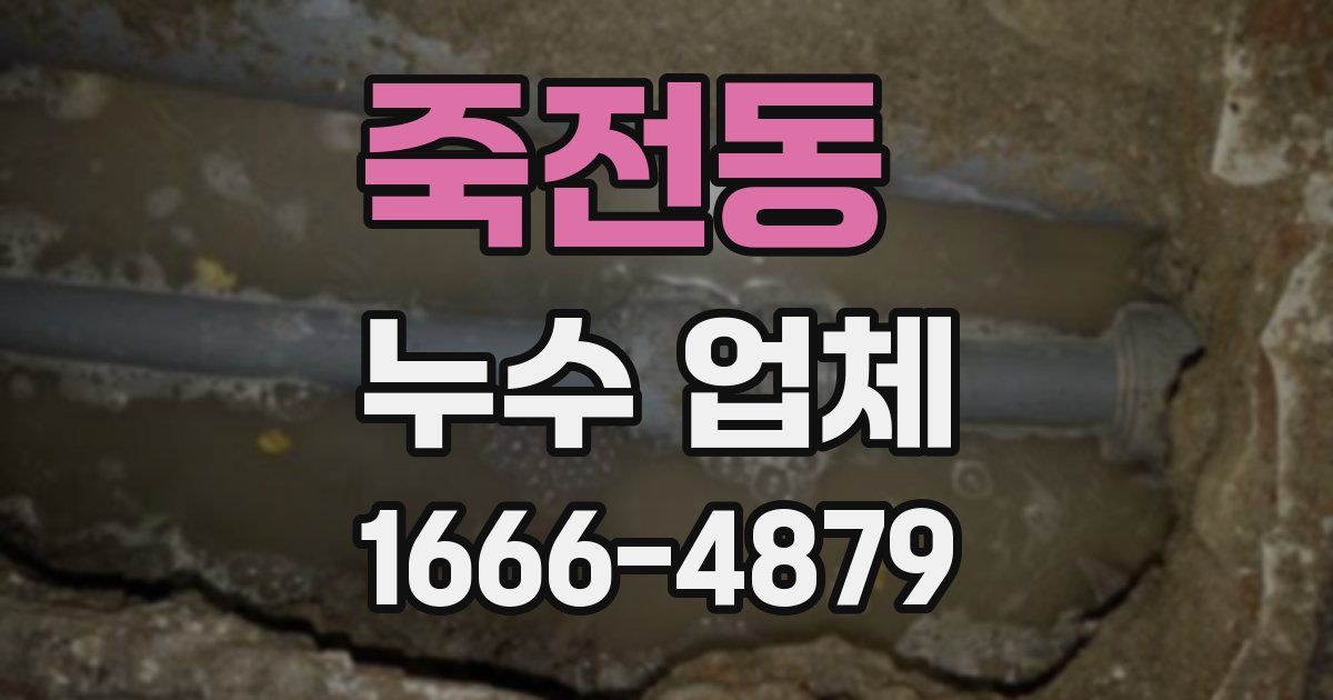 죽전동 누수 업체