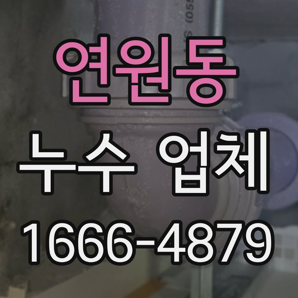 연원동 누수 업체
