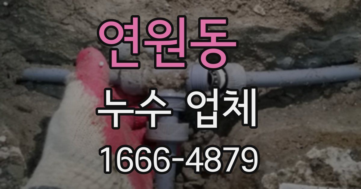 연원동 누수 업체