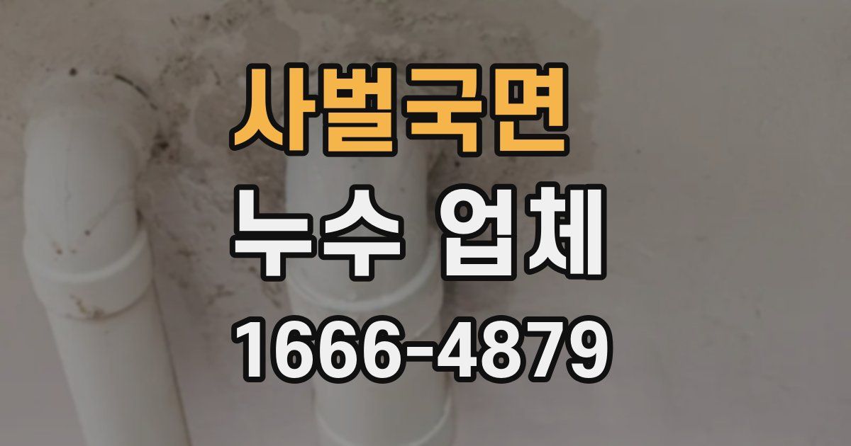 사벌국면 누수 업체
