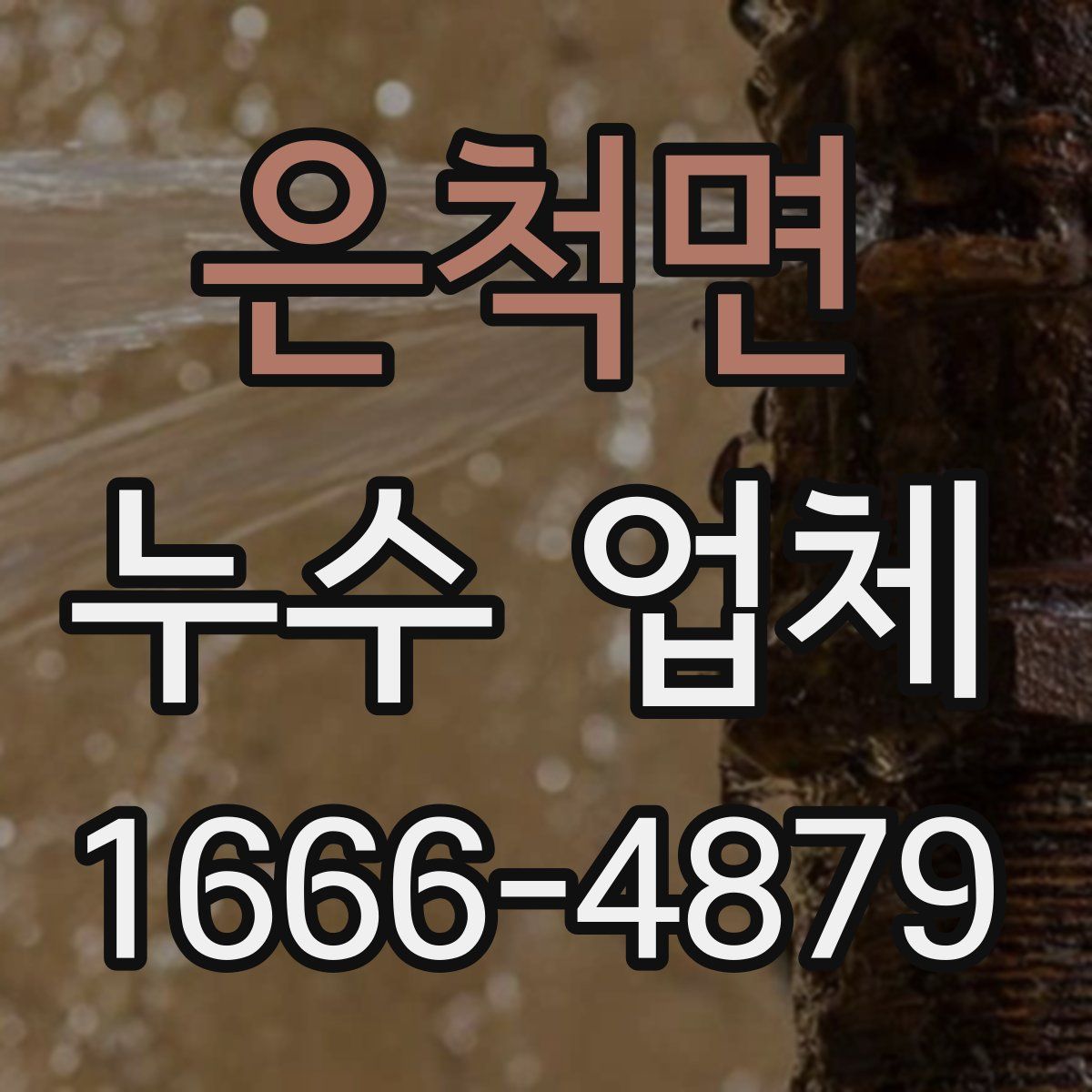 은척면 누수 업체