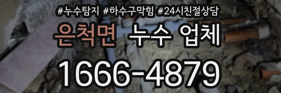 은척면 누수 업체