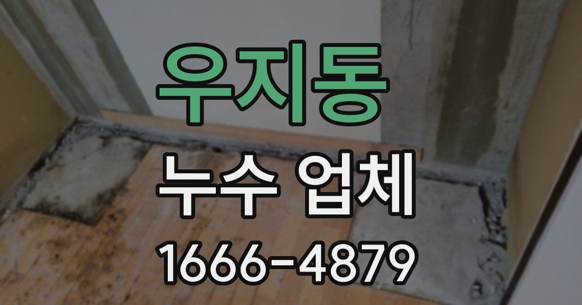 우지동 누수 업체