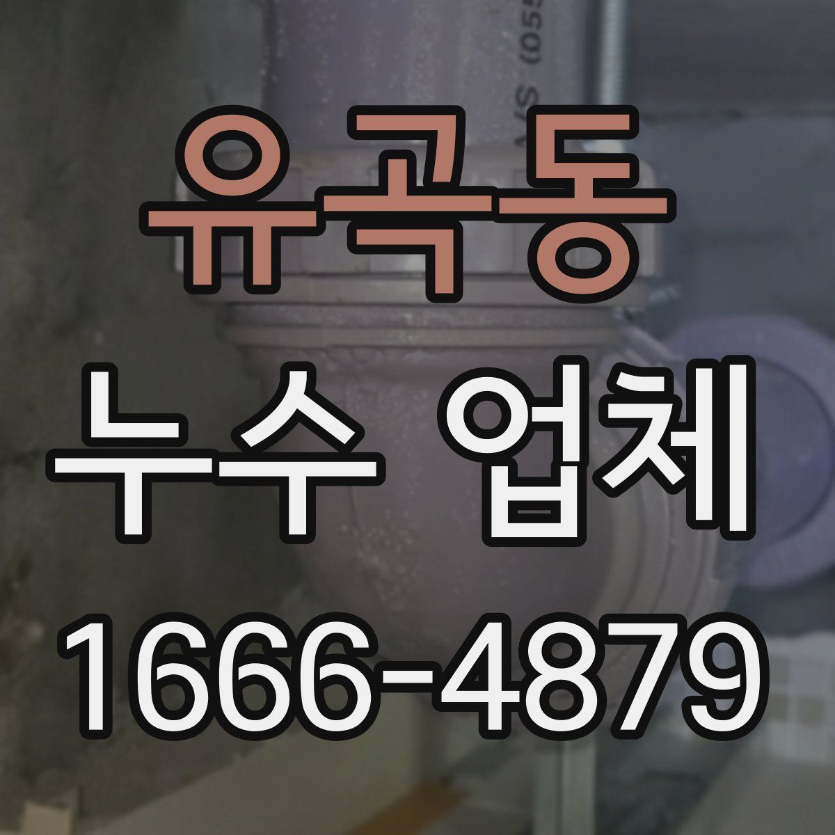 유곡동 누수 업체