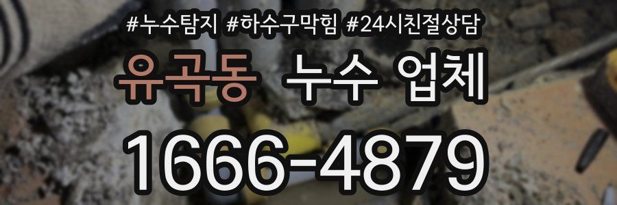 유곡동 누수 업체