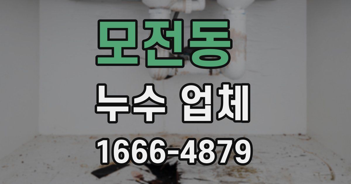 모전동 누수 업체