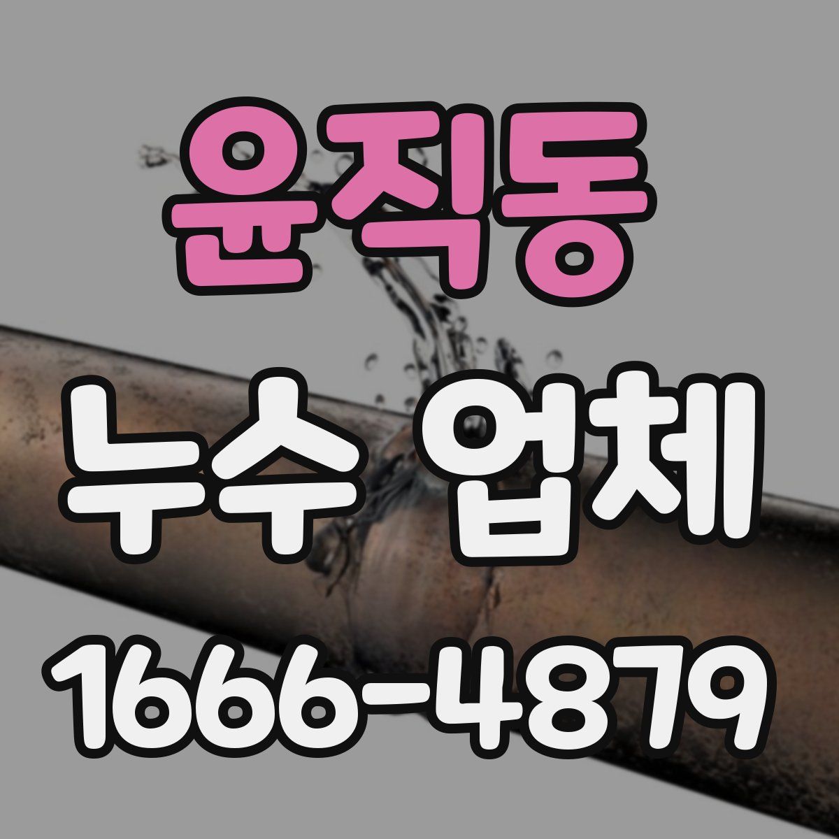 윤직동 누수 업체