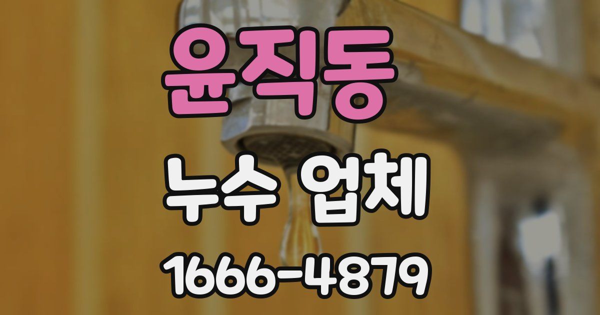 윤직동 누수 업체