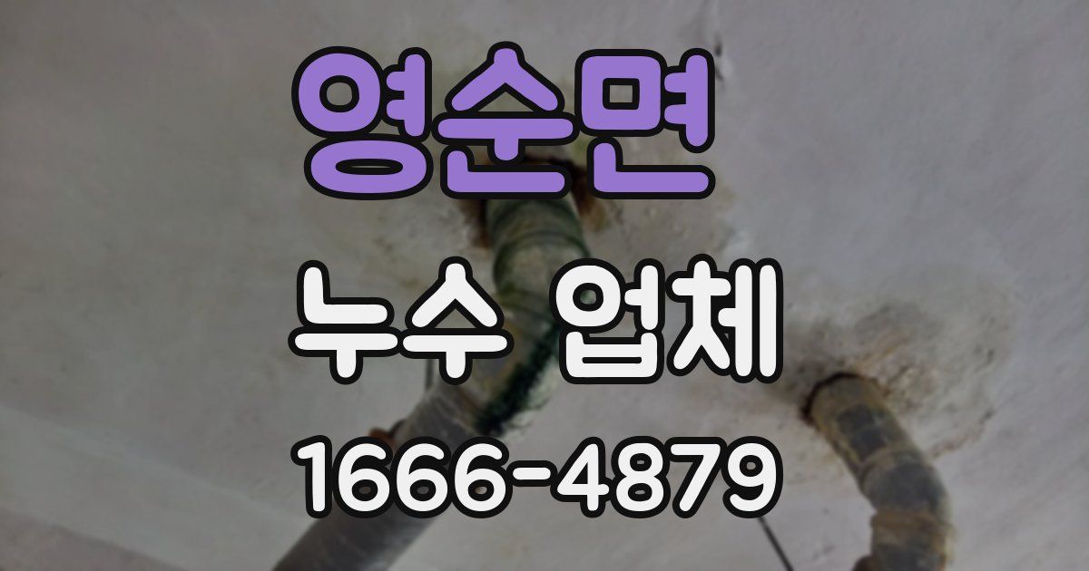 영순면 누수 업체