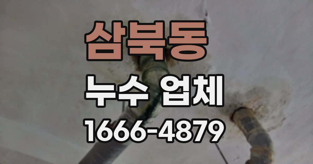 삼북동 누수 업체