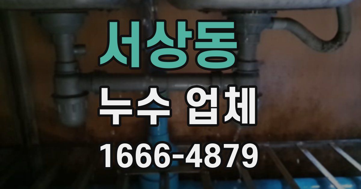서상동 누수 업체