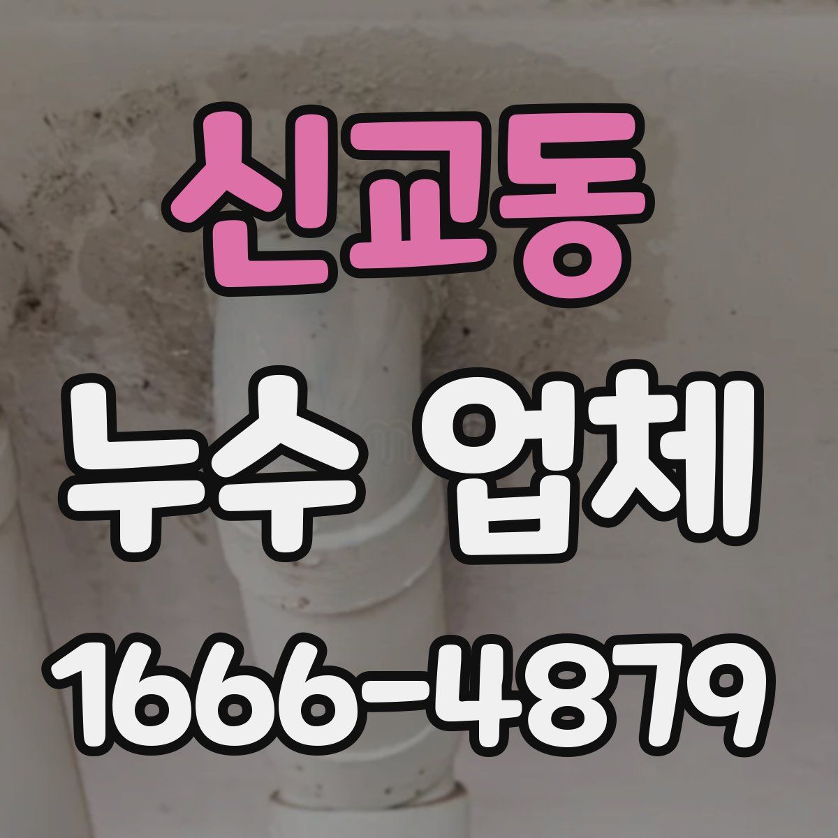 신교동 누수 업체