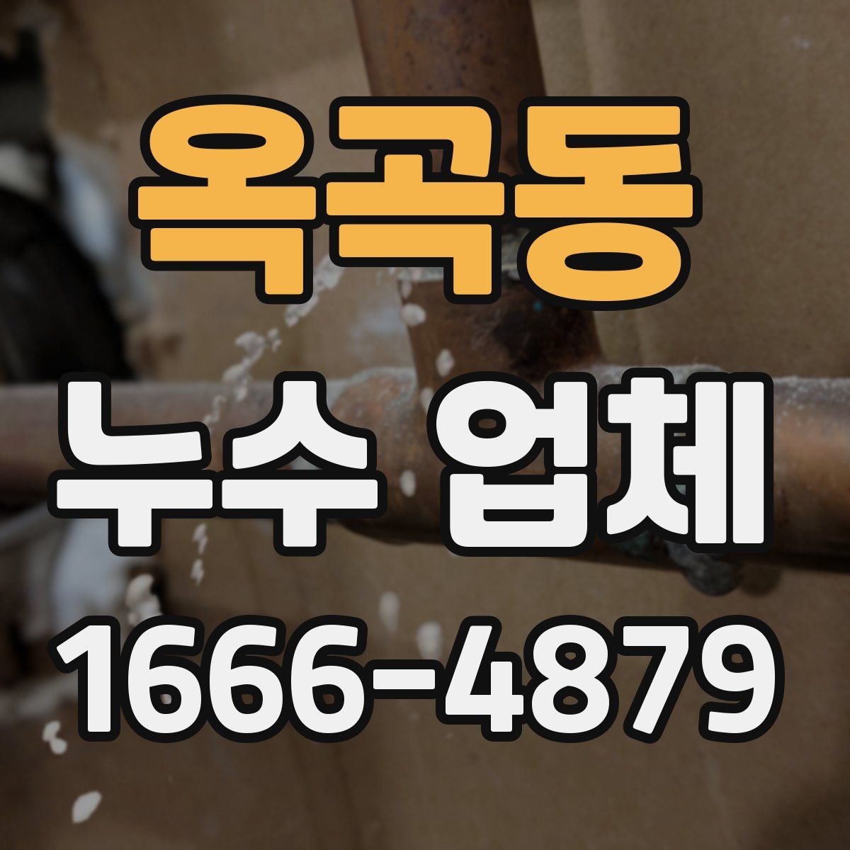 옥곡동 누수 업체