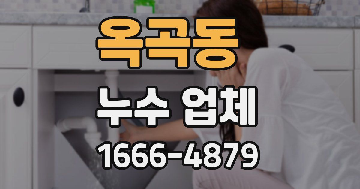옥곡동 누수 업체