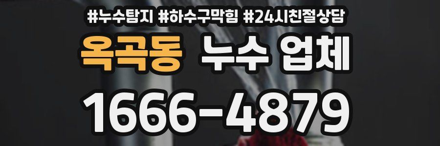 옥곡동 누수 업체