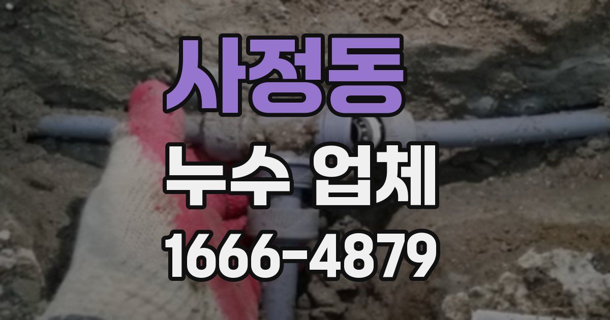 사정동 누수 업체