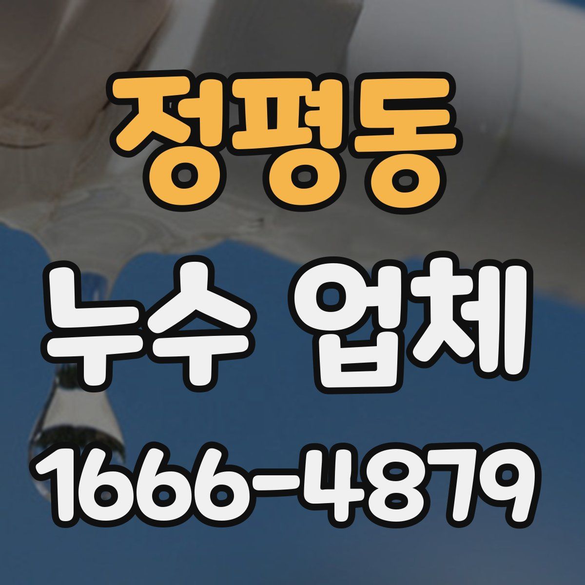 정평동 누수 업체