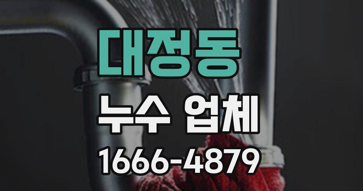 대정동 누수 업체