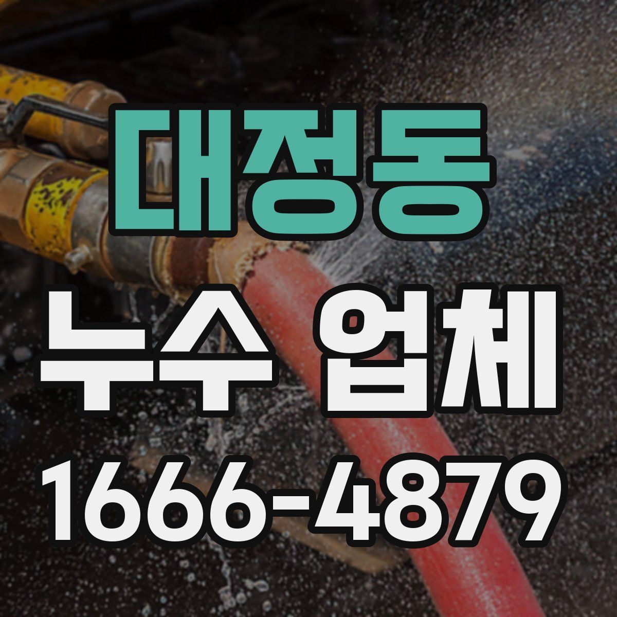 대정동 누수 업체