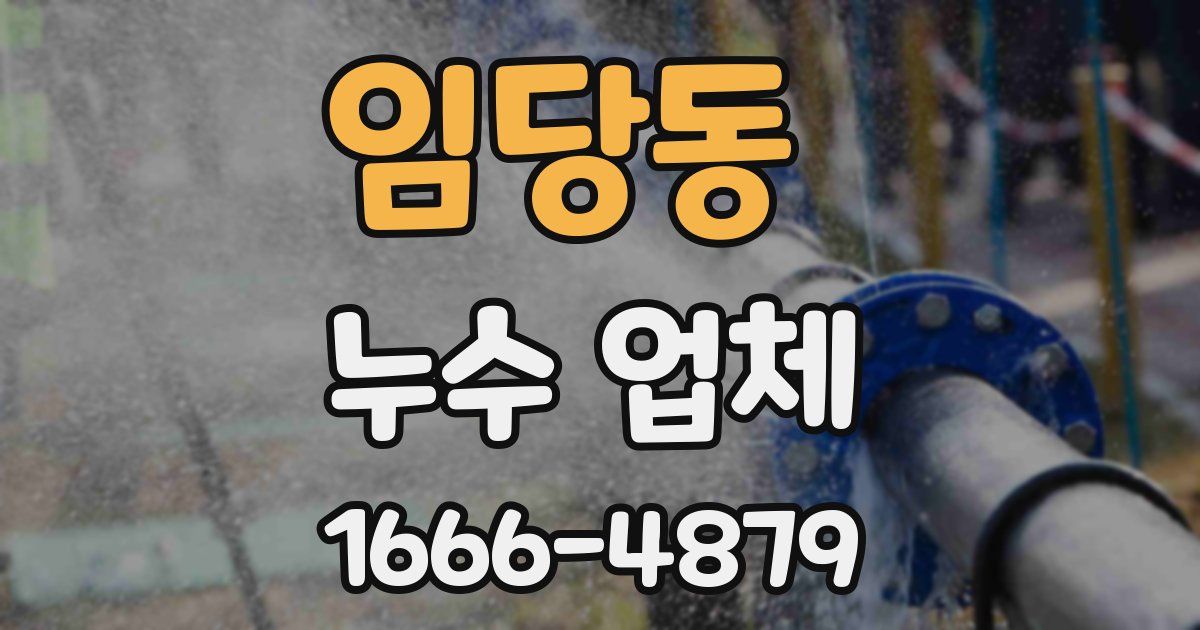 임당동 누수 업체