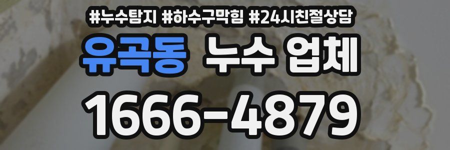 유곡동 누수 업체